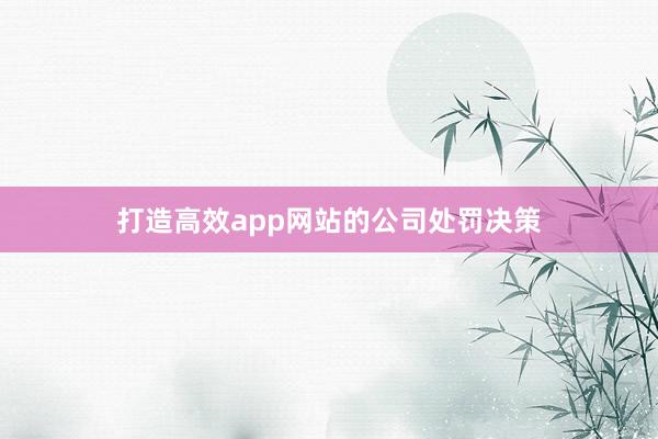 打造高效app网站的公司处罚决策